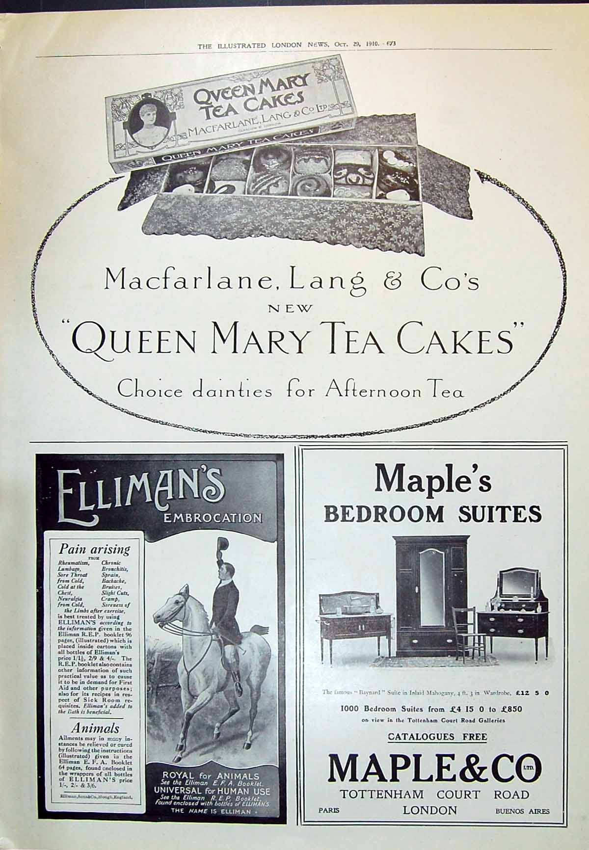 Old 1910 Macfarlane Mary Tea Cakes Ellimans Embrocation Maple London 20th