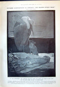 Old 1910 Lumbering Adjutant Crane Bird Jackal Kipling Art Grafton Gog 20th