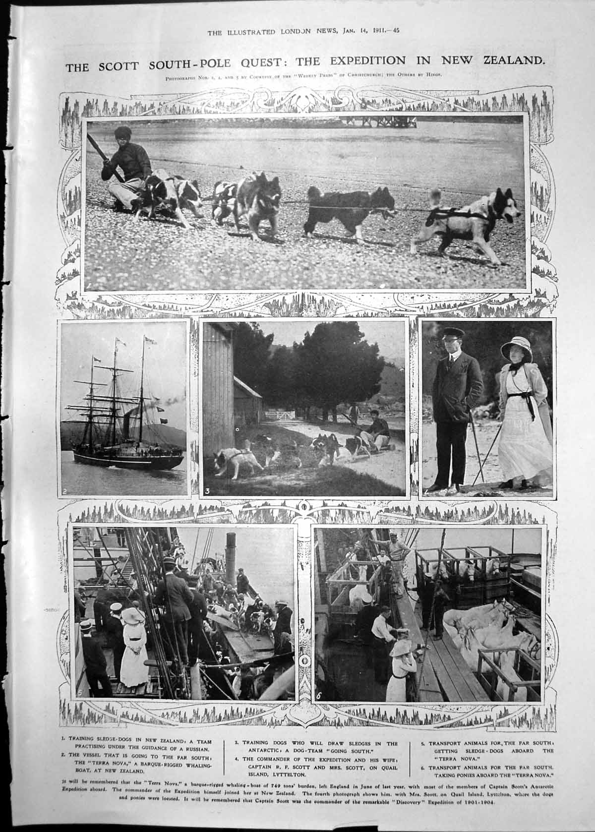 Print Scott South-Pole Quest Loading Terra Nova Sled Dogs Portraits 1911 045RP