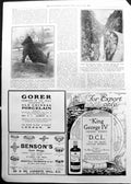 Old Print Topiary Dog International Horse Show Gorge Du Hourat 1911 1030P 20th