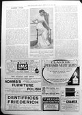 Print Liberty Dinner Gown Exhibition British Fabrics London Fashions 1911 1032P