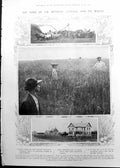 Print Canada Wheat Mechanical Threshing Oats Orchards Fruit Ranch 1911 1111RP