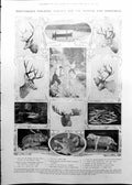 Old Canada Sporting Hunting Fishing Trophies Bank Montreal 1911 1113RP 20th