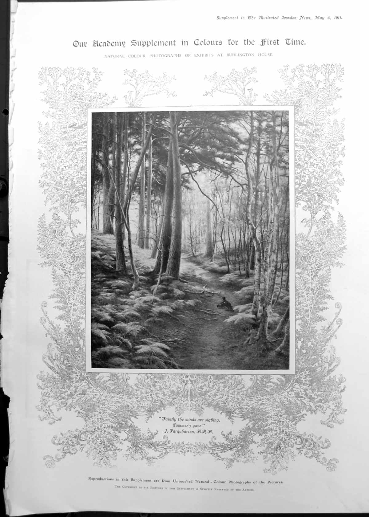 Old Colour J. Farquharson Woodland Scene Bracken Court Annal 1911 1121RP 20th
