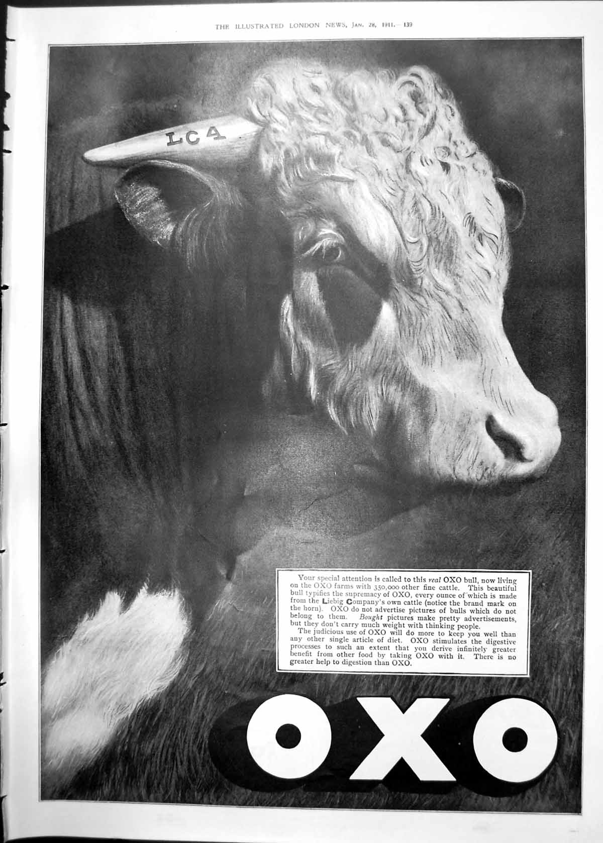 Print Oxo Bull Advert Damp Days Walking Suit Adverts Diamonds Hotel 1911 139RP