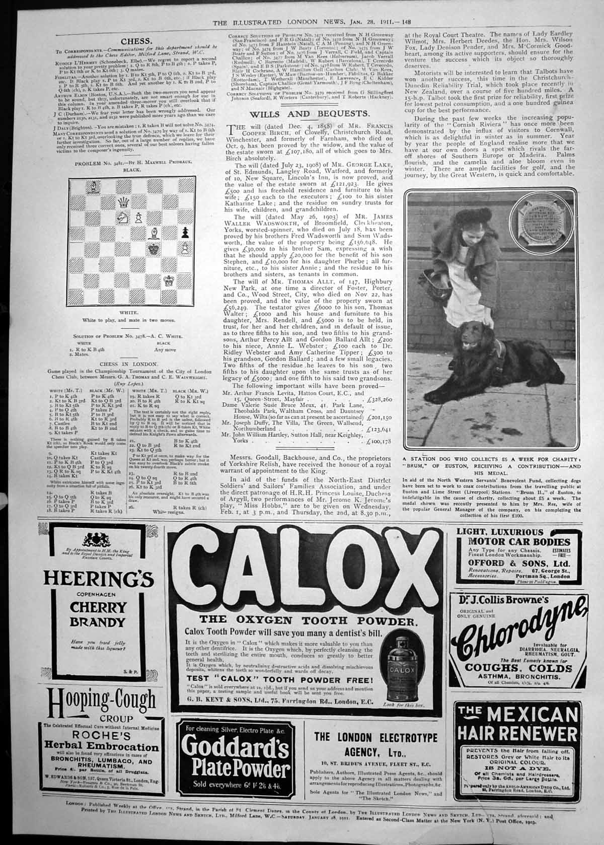Old Print Station Dog Collecting For Charity Medal Chess Adverts Calox 1911 148P