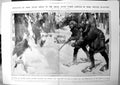 Old North Canadian Bears Located Blow Holes Hunters Ice Snow 1911 166TP 20th