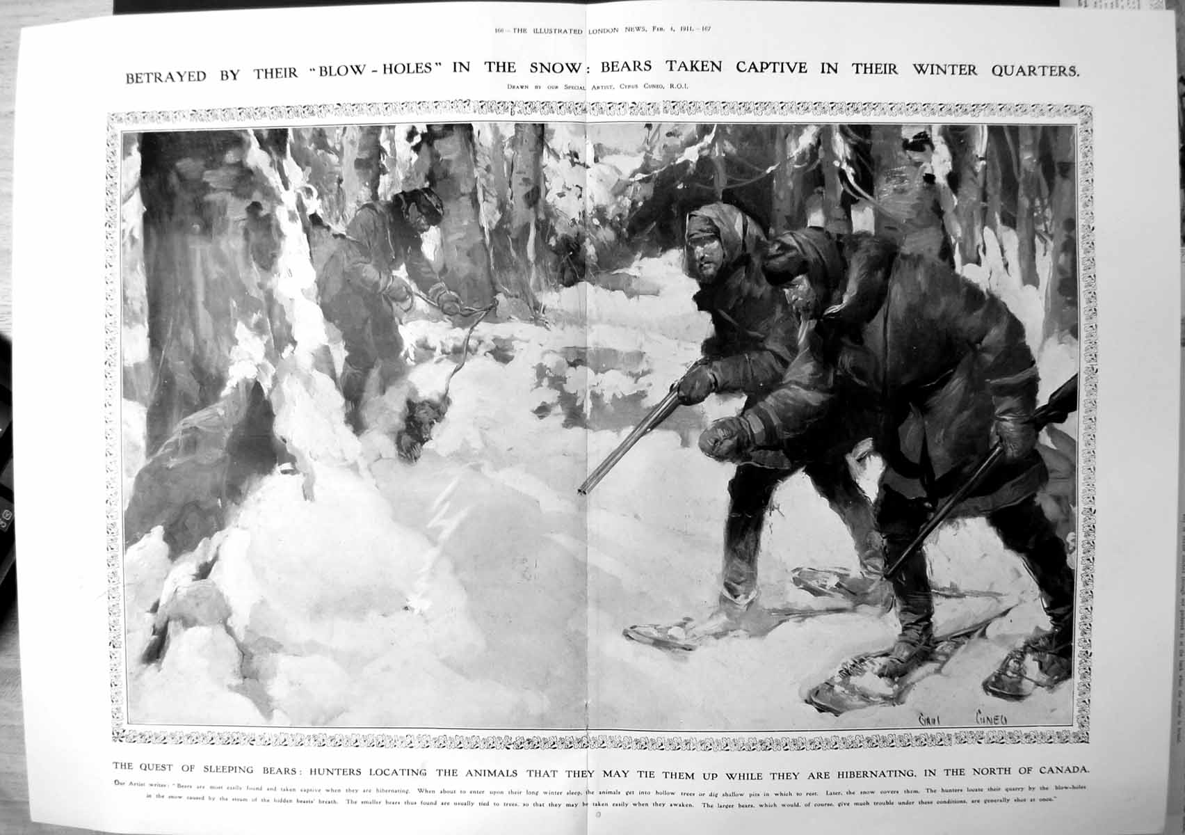 Old North Canadian Bears Located Blow Holes Hunters Ice Snow 1911 166TP 20th