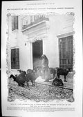 Old Morocco Express Pastoral Scene Ronda Ganges Jumna Bathers 1911 169RP 20th