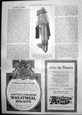 Print Visiting Gown Spring Season Advertshuntly Palmer Biscuits Diet 1911 320P