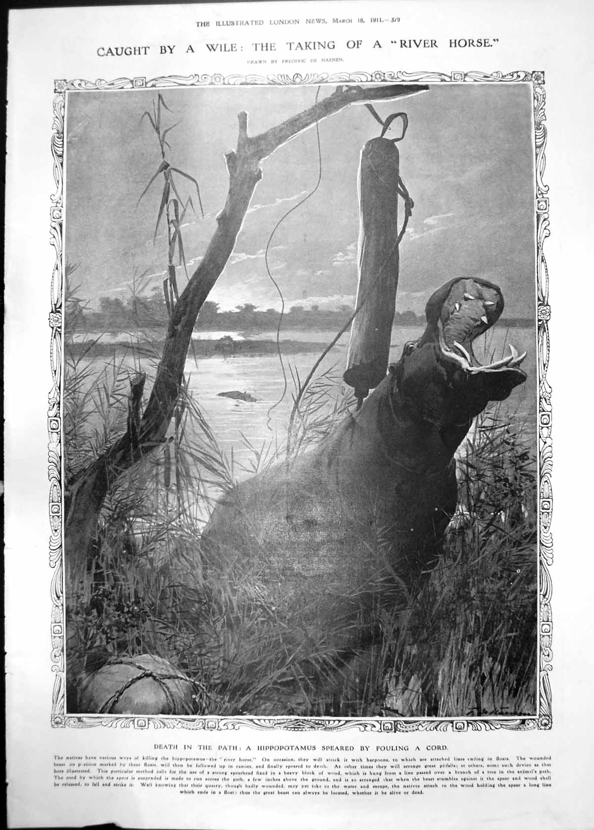 Old Hippopotamus Hunted Wile Trap Cyrene Fountain Apollo Views 1911 379RP 20th