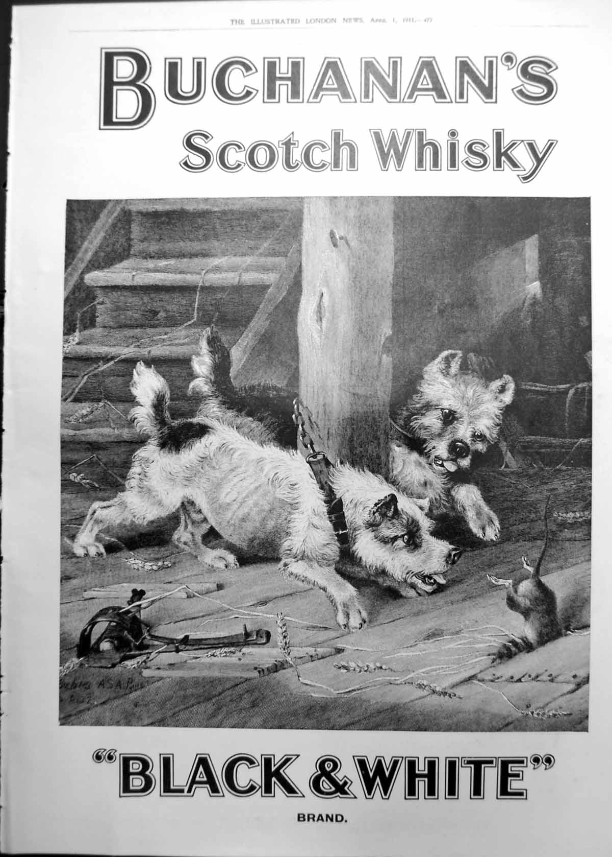 Old Print Buchanan'S Scotch Whisky Advert Afternoon Draped Gown 1911 477RP 20th
