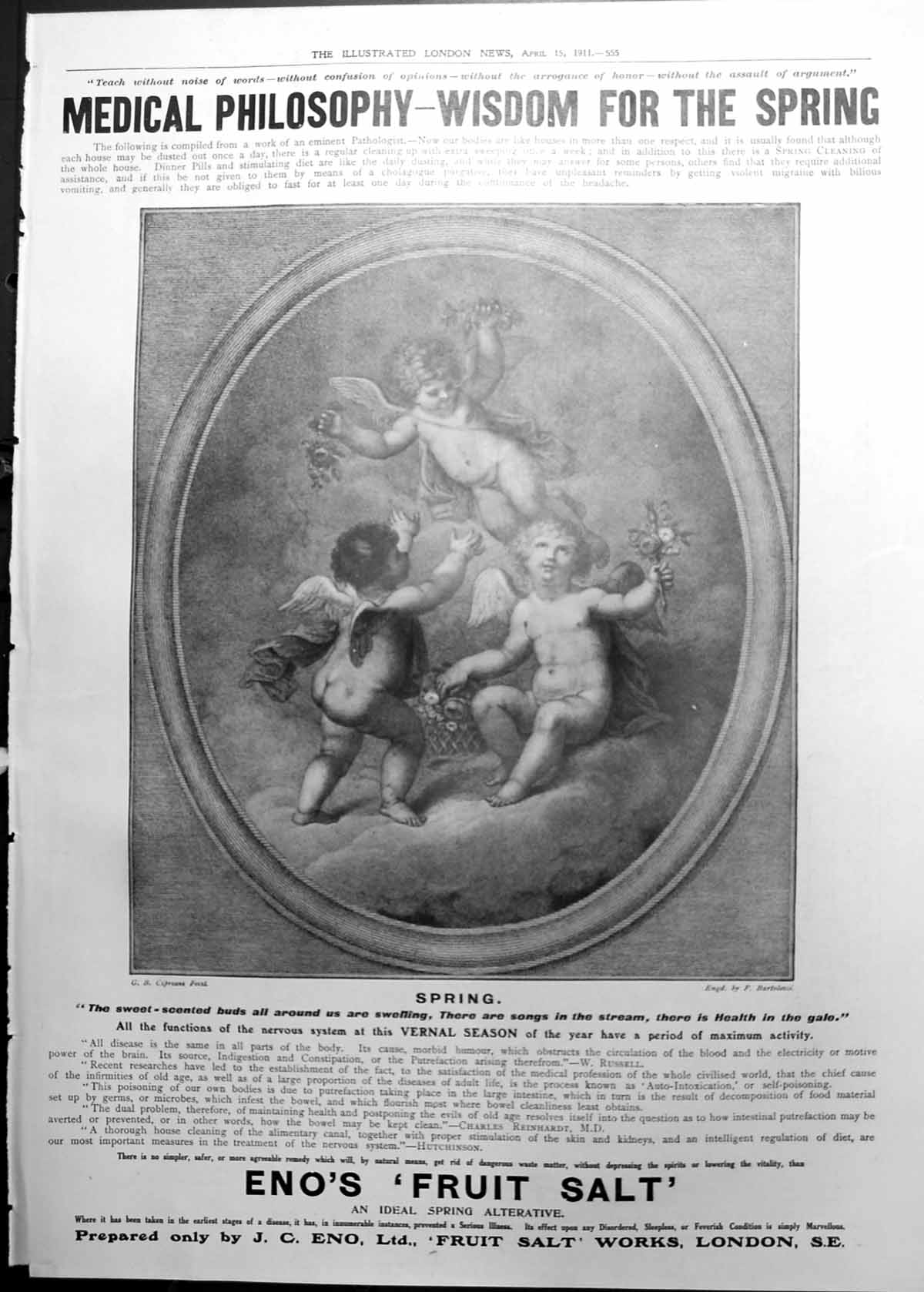 Print Eno'S Fruit Salt Cherub Advert Striped Dress Devon Fireplace 1911 555RP