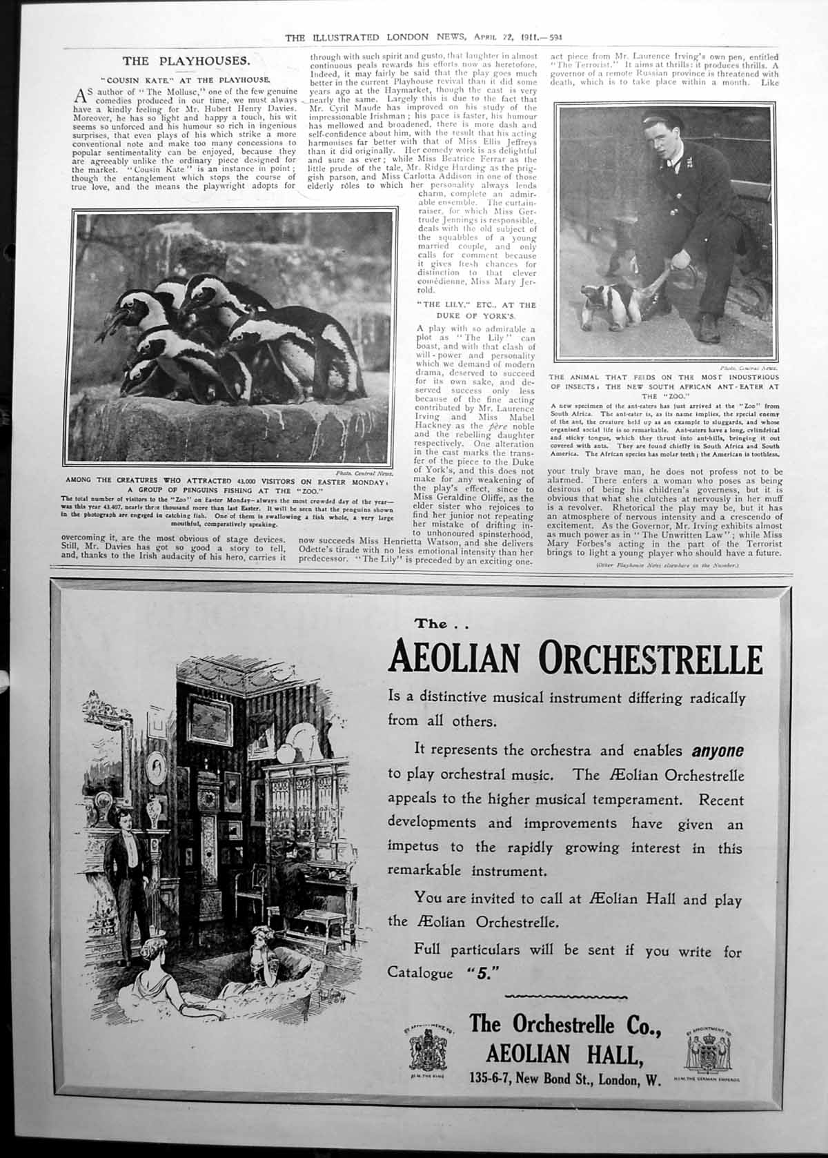 Old Penguins Zoo New South African Ant-Eater Aeolian Orchestra 1911 594P 20th