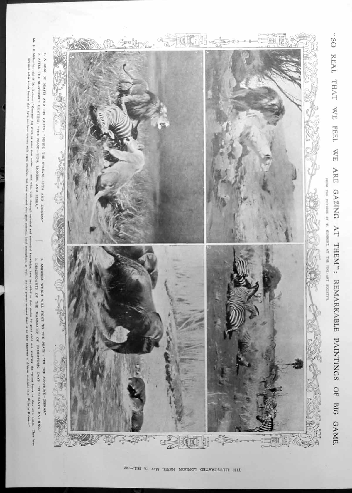 Old Lions Zebra Elephants Africa Anglo-American Peace Seekers 1911 687RP 20th