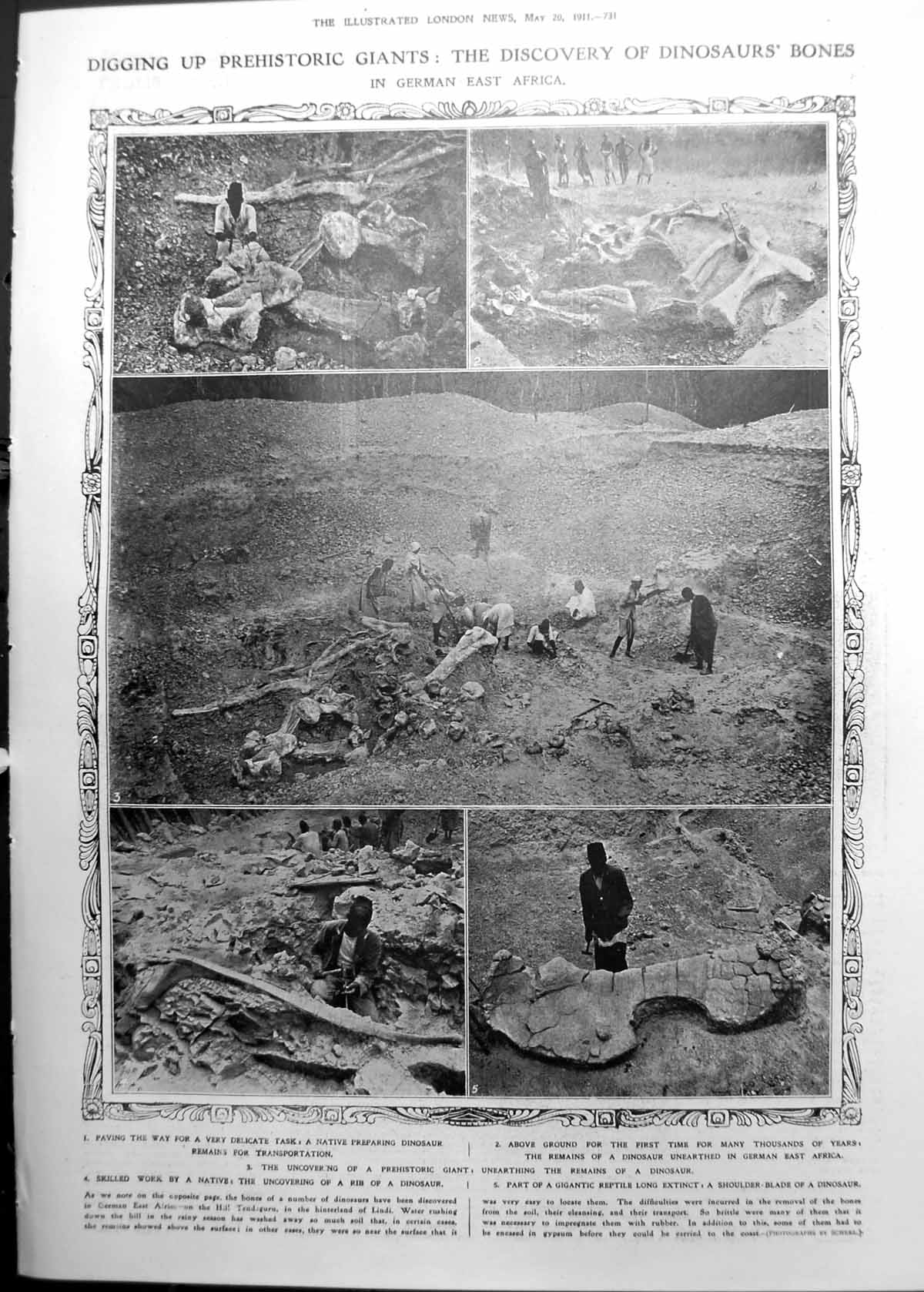 Old Dinosaur Bones E Africa Aeroplane Weapon Winston Churchill 1911 731RP 20th