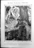 Old Indian Encampment Boys Gen Gate Park South Sea Swimming 1911 859RP 20th