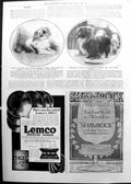 Old Pekingese Dogs Britain Looty Queen Victoria Howbury Ming 1911 914P 20th