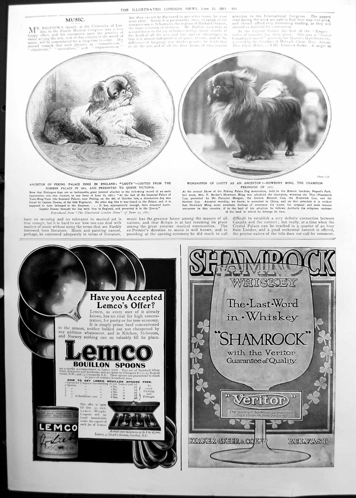 Old Pekingese Dogs Britain Looty Queen Victoria Howbury Ming 1911 914P 20th
