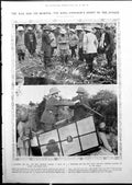 Print Entering Kill King Emperor Tigers Bear Shot Elephant Watch Jungle 1912