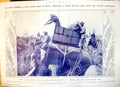 Antique Print King George Firing Charging Rhinoceros Nepalese Jungle 1912 0 20th