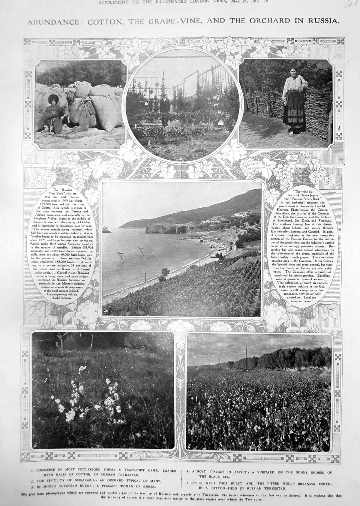 Old Print Cotton Grape Vine Orchard Russia Garrison Church Askhabad 1912 20th
