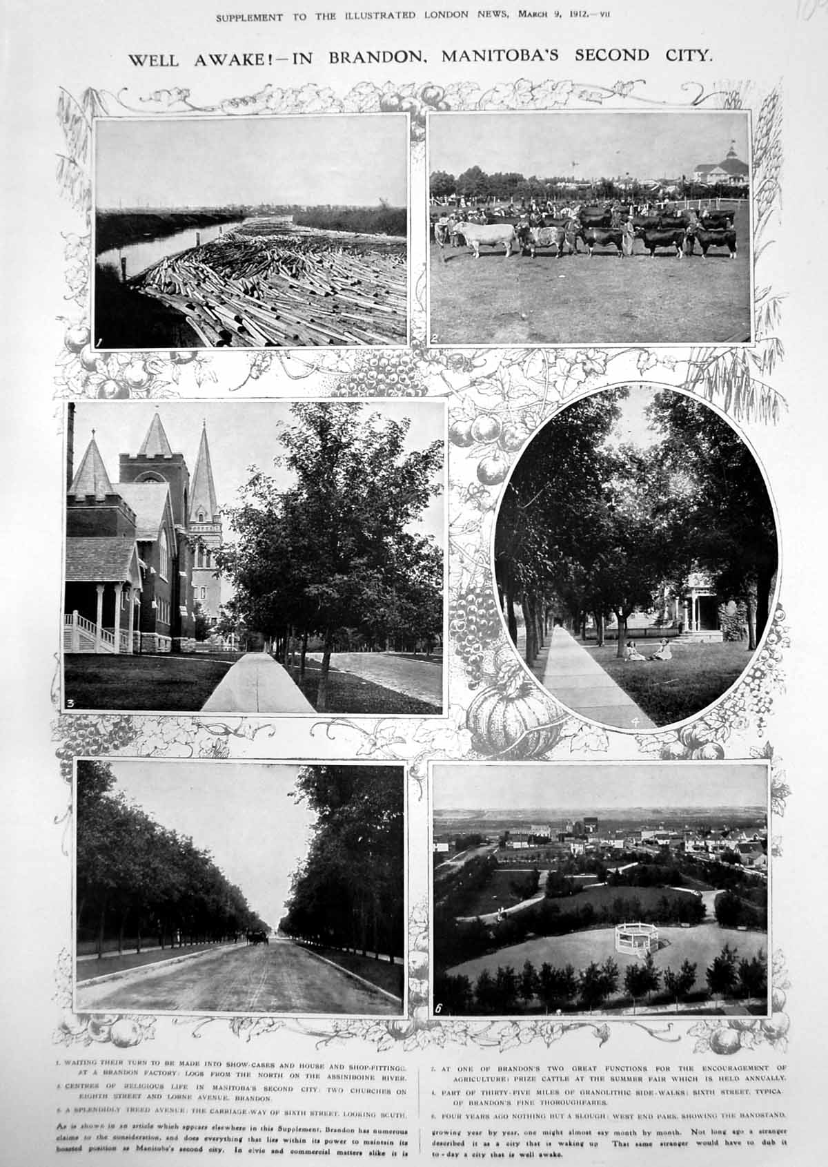 Old Print Brandon Manitoba Logs Cattle Chateau Frontenac Quebec Map 1912 20th