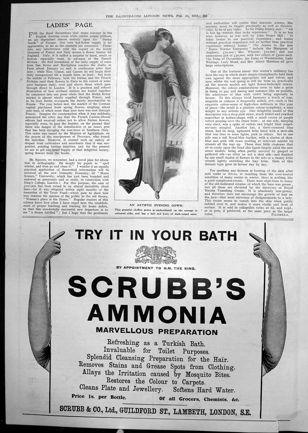 Old Artistic Evening Gown Scrubbs Ammonia Cleansing Removes Stains 1912 20th