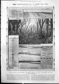 Old Print Natural History Coal Senses Plants Dark Light Vicia Sativa 1912 20th