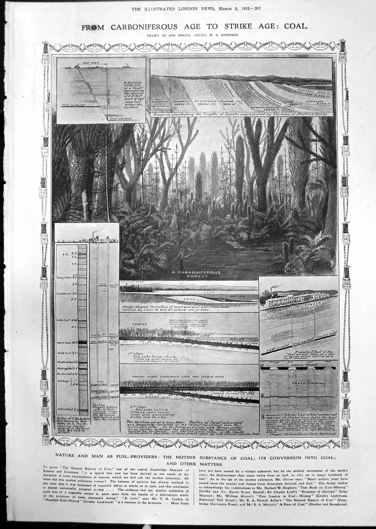 Old Print Natural History Coal Senses Plants Dark Light Vicia Sativa 1912 20th