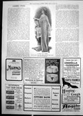 Old Smart Tea Gown Heerings Cherry Brandy Hovendens Hair Curler 1912 20th