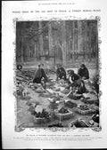 Old Cemetery Birds Brandenburg Prince Albert Monaco Fish Museum 1912 20th