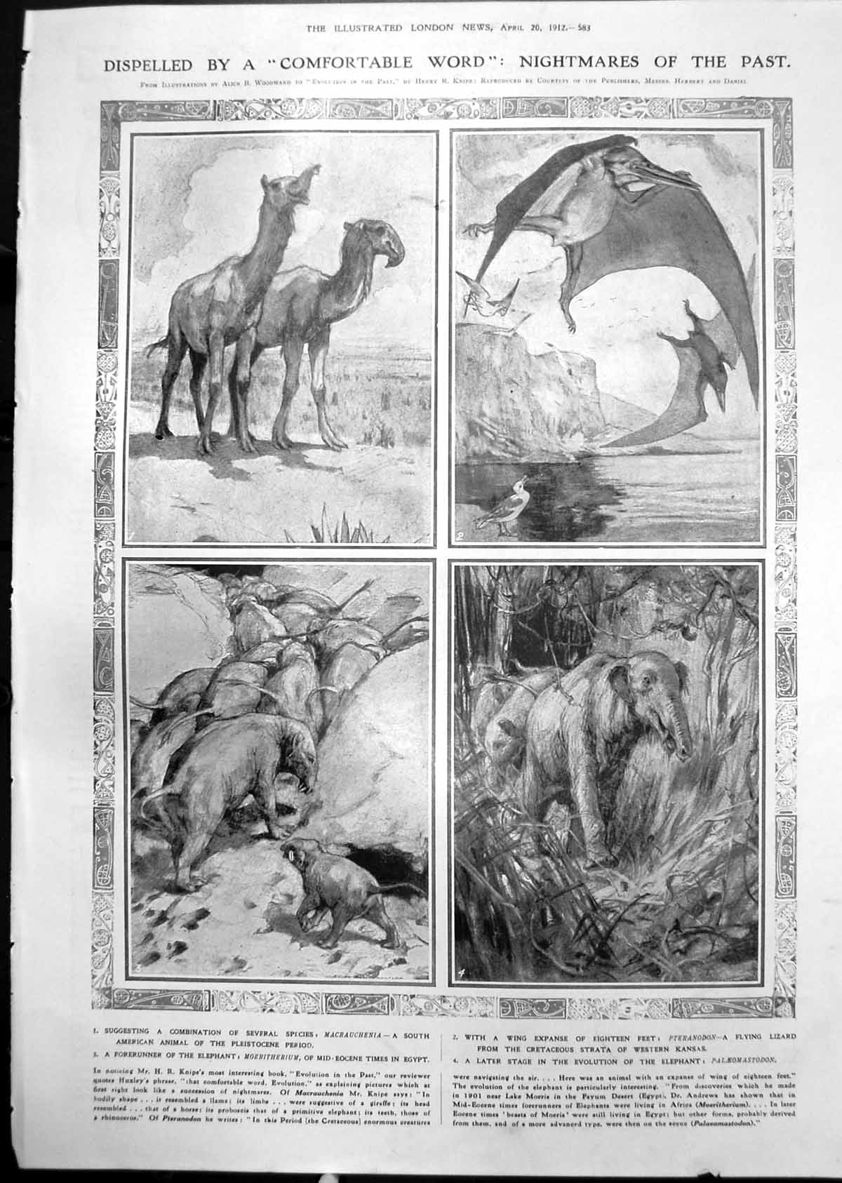 Old Pteranodon Flying Lizard Paleomastodon Marie Tempest N Trevor 1912 20th
