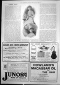 Old Tea Gown Hat Feather Rowlands Macassar Oil Hair Junora Energy 1912 20th