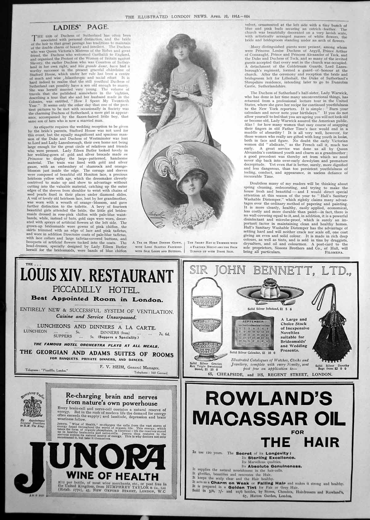 Old Tea Gown Hat Feather Rowlands Macassar Oil Hair Junora Energy 1912 20th