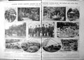 Old Royal International Horticultural Exhibition Chelsea 1912 Damaged 20th