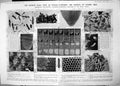 Old Making Honeycombs Bees Eggs Legs Pollen Carriers Hives 1912 Damaged 20th