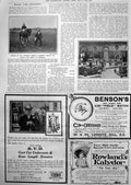 Antique Old Print Kokoro Winner Austrian Derby Georgian Rotunda Warings 1912
