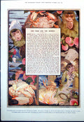 Old Print Crab Monkey Fairy Story E DetmGood St James Policeman Baby1912 20th