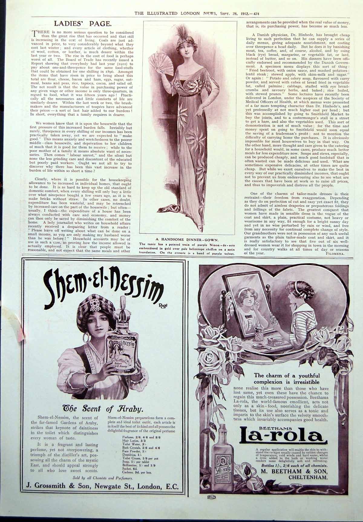 Old Handsome Dinner Gown La-Rola Beethams Skin Shem El Nessim Scent1912 20th