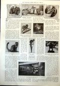 Old Four Toed Jumping Shrew Lemur Gibbon Konar Royal Palace Belgrade