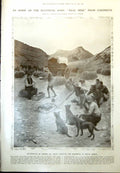Old Hoitentots Milk Coconuts S Africa Quarantine Cholera Piraeus 1912 20th
