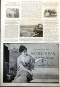 Old Print Orleans Railway St Jean De Luz Fort Socoa Dog Show Toshimo 1912 20th