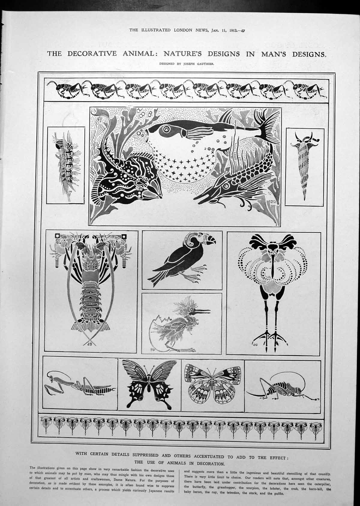 Old Print Animals Decoration Joseph Gauthier England S Africa Rugby 1913 0 20th