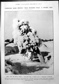 Antique Print Snow Laden Tree Aix-Les-Bains Princesses Dogs Fountain 1913 10