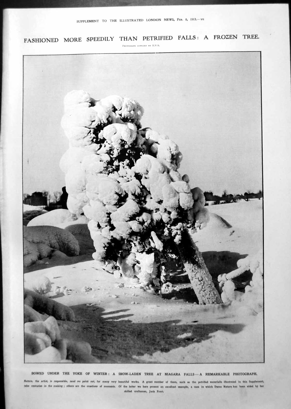 Antique Print Snow Laden Tree Aix-Les-Bains Princesses Dogs Fountain 1913 10