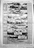 Old Antique Print Damaged Record Rocks Prehistoric Life Motor-Polo 1913 10 20th