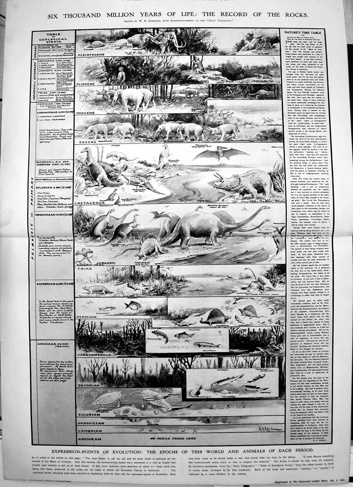Old Antique Print Damaged Record Rocks Prehistoric Life Motor-Polo 1913 10 20th