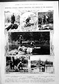 Old Print Sporting Canada Perfect Shooting Fishing Bear Teal Salmon 1913 20th