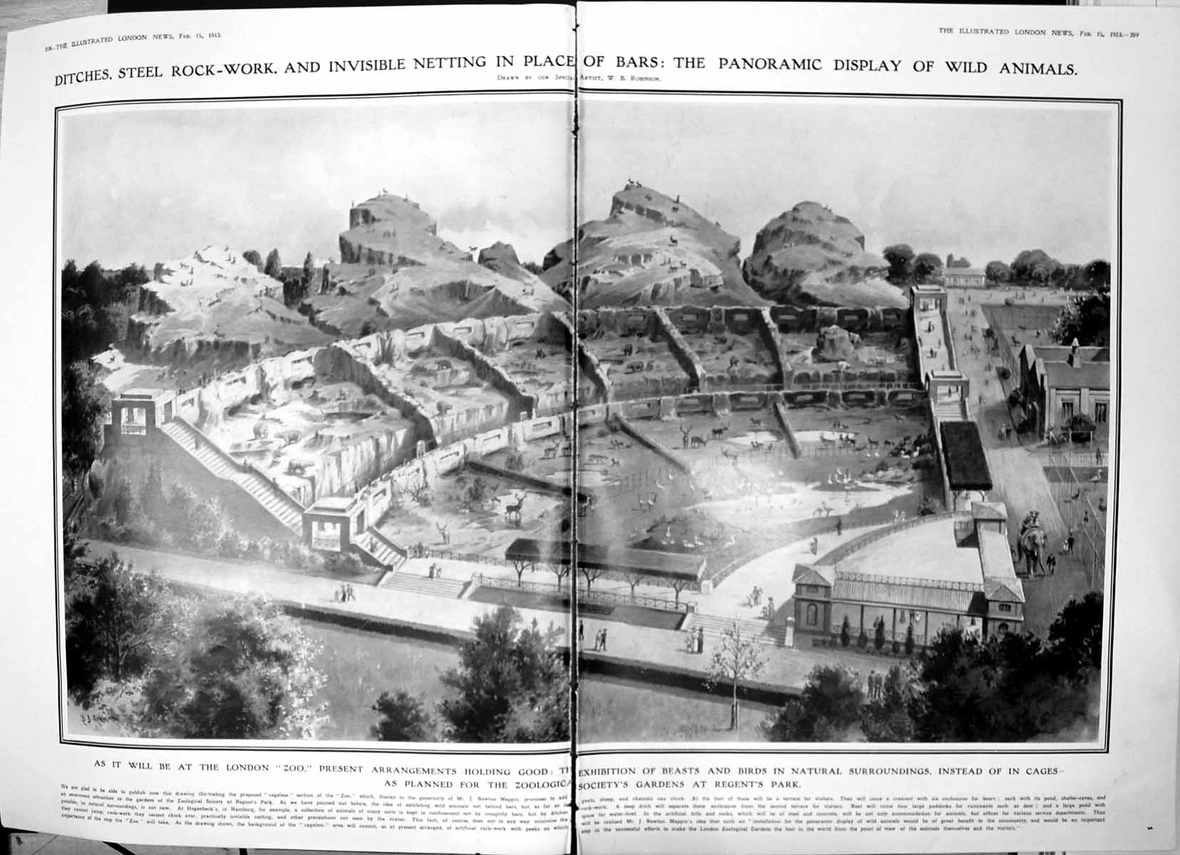 Antique Print Damaged Plans London'S Zoological Gardens Without Bars 1913 20th
